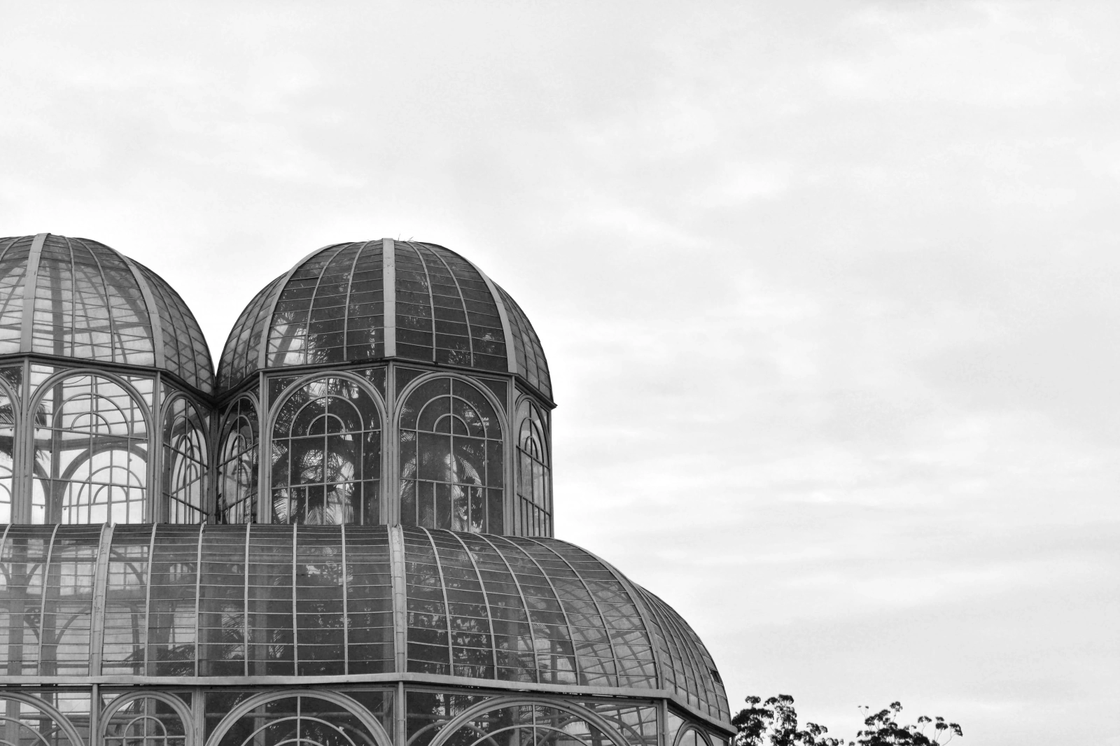 Curitiba tem DELE? Saiba onde fazer a prova e como estudar